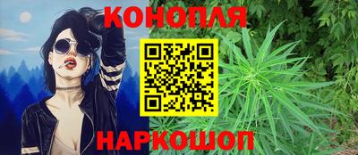 прущие крисы Заводоуковск