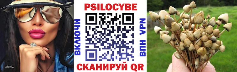 Галлюциногенные грибы мухоморы  Лабытнанги 