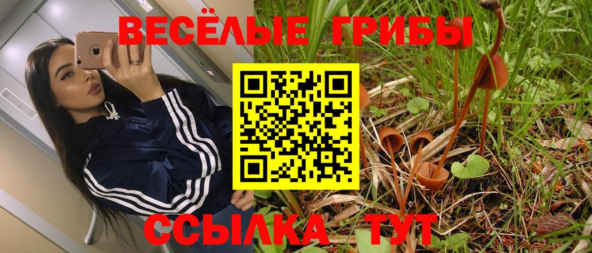 Галлюциногенные грибы Psilocybine cubensis  Вход с VPN  Лабытнанги  Галлюциногенные грибы GOLDEN TEACHER 