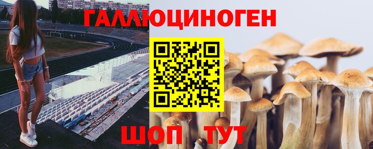 Галлюциногенные грибы GOLDEN TEACHER Лабытнанги